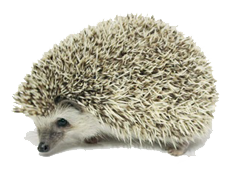 %e0%b9%80%e0%b8%a1%e0%b9%88%e0%b8%99%e0%b9%81%e0%b8%84%e0%b8%a3%e0%b8%b0